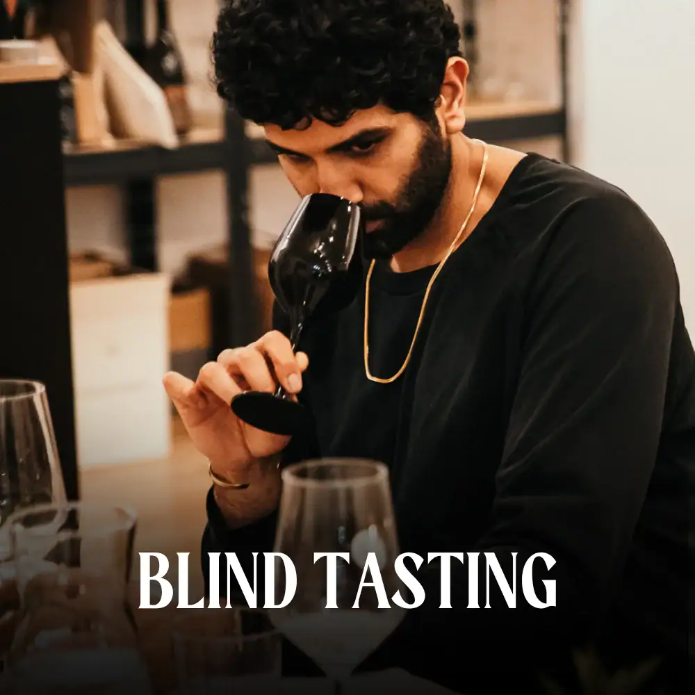 Das Piwi-Kollektiv aus Baden